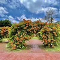 Serene Splendor at Penang Gardens