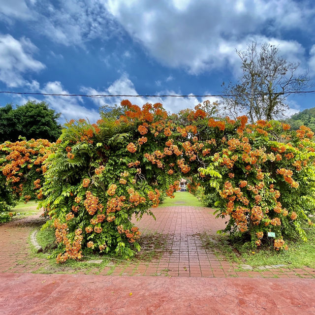 Serene Splendor at Penang Gardens