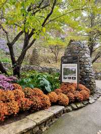🌳🏠사진명소 곤지암 화담숲 가을에 추천해요💛