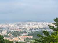 제주시 한라수목원 근처 민오름 정상...