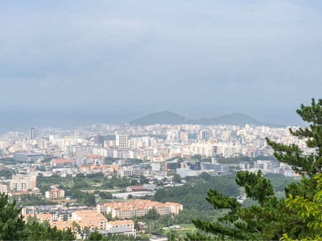 제주시 한라수목원 근처 민오름 정상...
