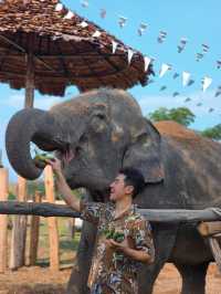 Cafe Elephant 🐘🌳