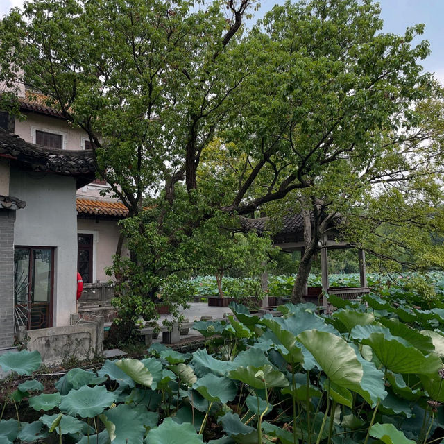 The Serenity of West Lake in Hangzhou