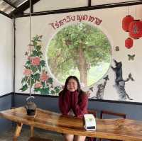 ขึ้นดอยแม่สลอง....เที่ยวไร่ชาวังพุดตาล⛰️