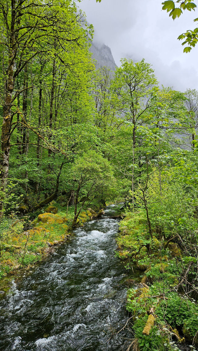 德國國王湖 Königssee – 絕美的世外桃源