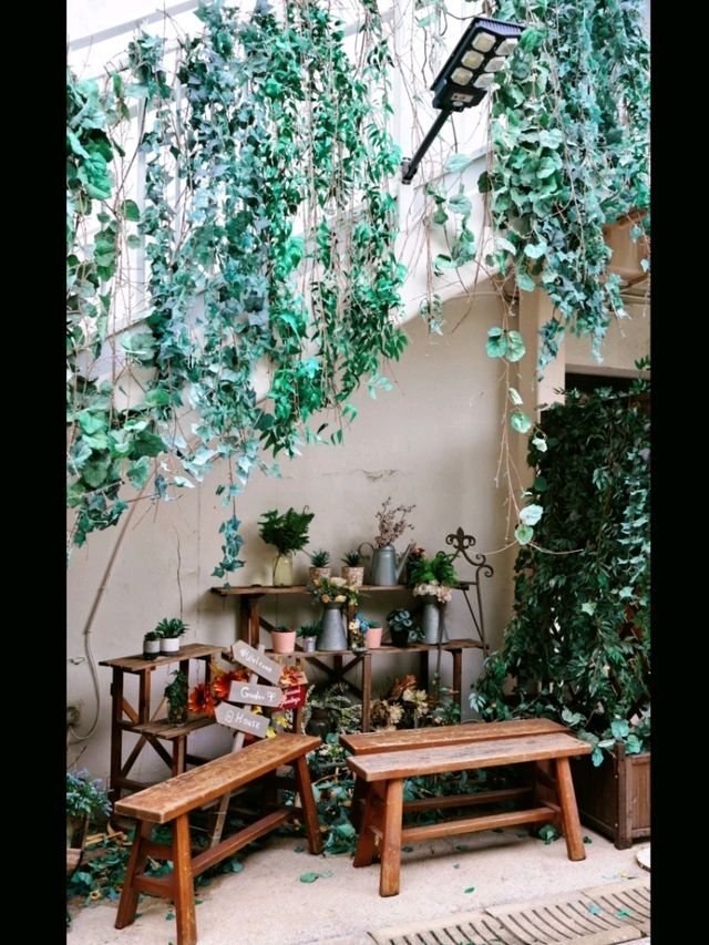Timeless Cafe 大自然文青打卡Café ☕️