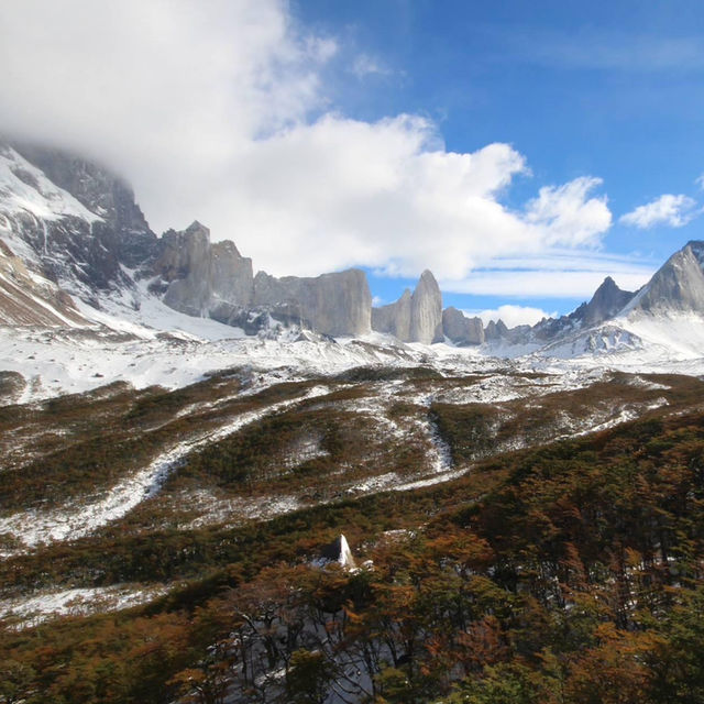 Rugged Patagonian Beauty