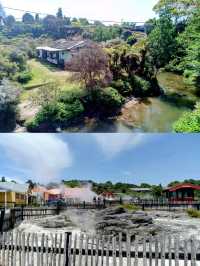 🇳🇿 The Living Māori Village 📍Roturua 