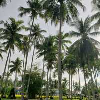 Truely Nature of Kampong Agong