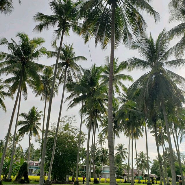 Truely Nature of Kampong Agong