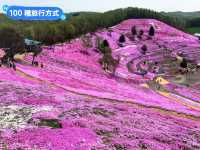 日本北海道-宛如粉紅色地毯的芝櫻花海：東藻琴 芝櫻公園