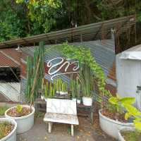 ร้านข้าว 