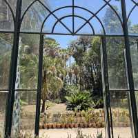 Discover Nature’s Beauty at Palermo Botanical Gardens