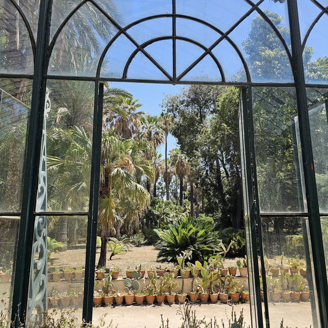 Discover Nature’s Beauty at Palermo Botanical Gardens