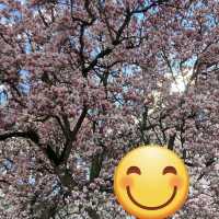Passau 나들이 여행