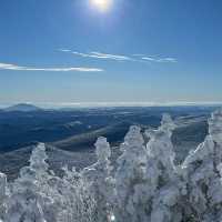 新雪谷村滑雪勝地：冬季運動的天堂⛷️❄️🏔️