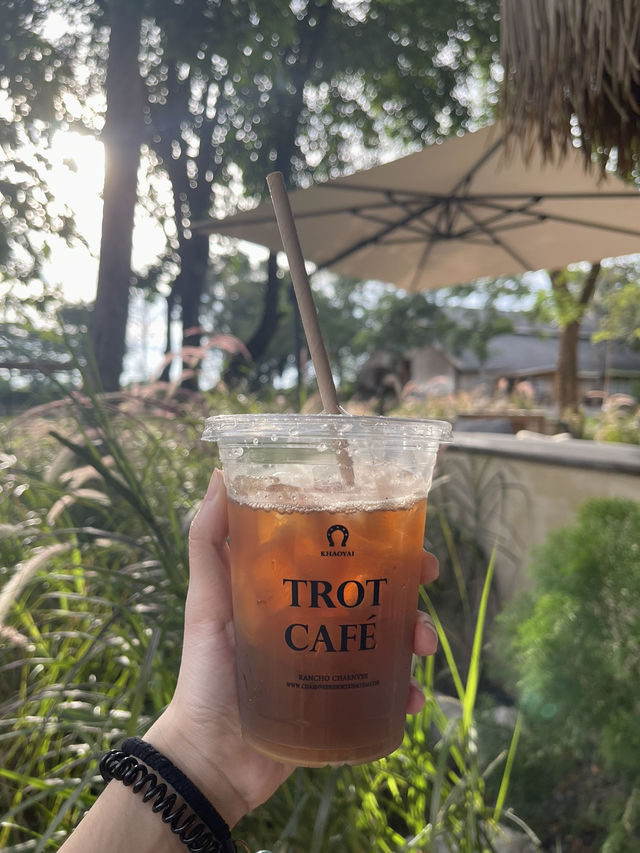 Trot Cafe เขาใหญ่ คาเฟ่ที่กำลังเป็นกระแส🐴