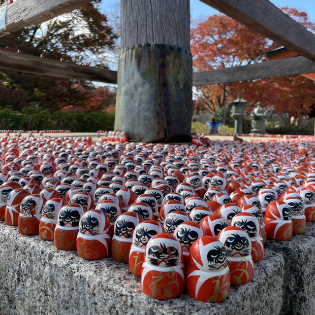 日本大阪勝尾寺、箕面公園賞楓