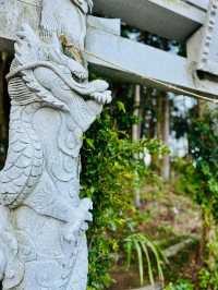 【穴場】鳥居に巻き付く二体の龍が超レアで大迫力❗️辰年を締めくくるご利益を授かれそうなパワスポ神社✨