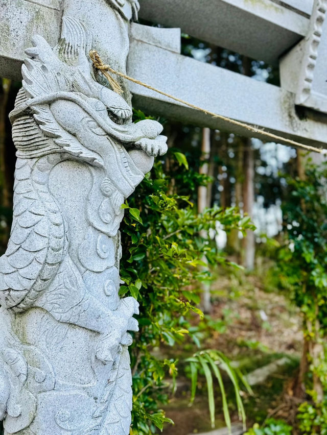 【穴場】鳥居に巻き付く二体の龍が超レアで大迫力❗️辰年を締めくくるご利益を授かれそうなパワスポ神社✨