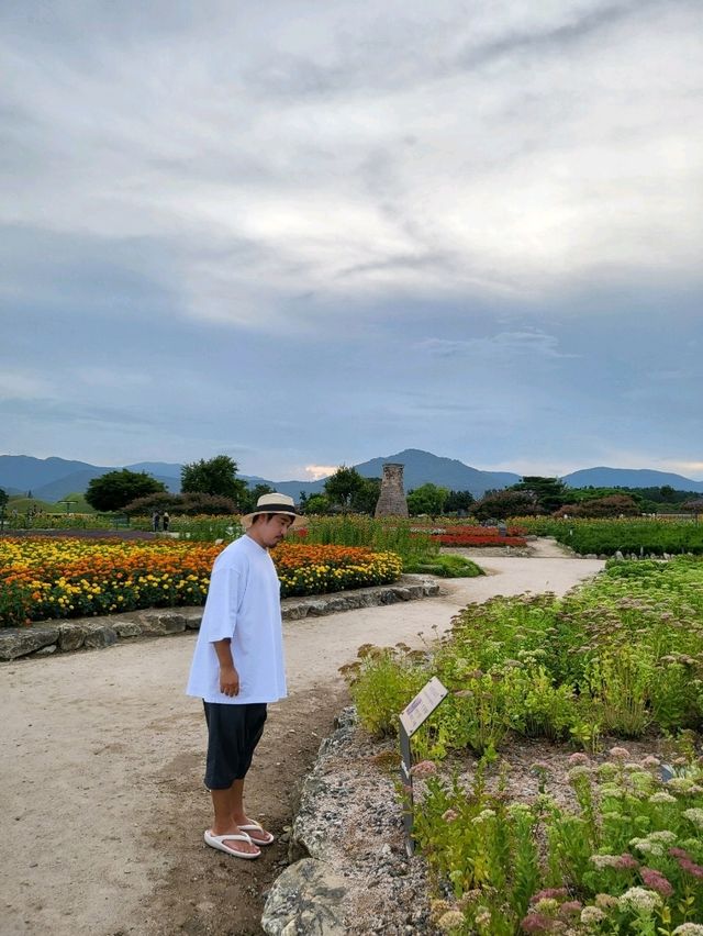 가을이 성큼 다가온 경주 첨성대 공원