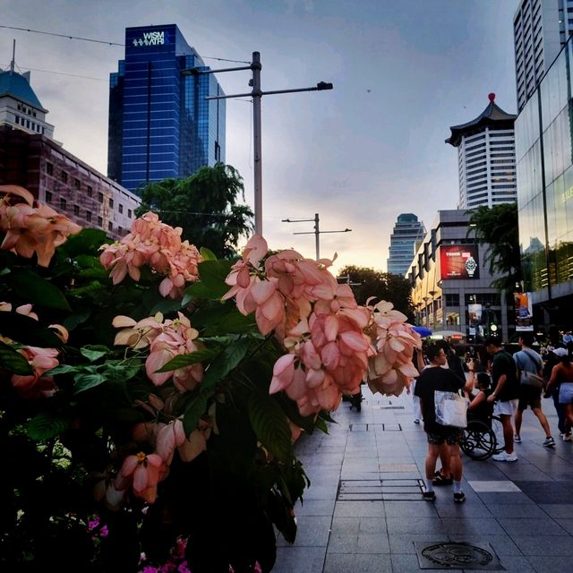 Seeing Orchard Road from different angles