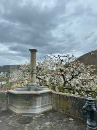 💞 เที่ยวเมือง Baden