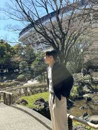 요코하마 공원에서 맞이한 여유로운 오후☀️🕊️