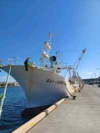 【稚内副港市場:北海道稚内市】稚内の新鮮な海産物がたくさん🐟