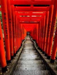 【東京】伏見稲荷⁉︎ 都内でも見れる千本鳥居⛩️