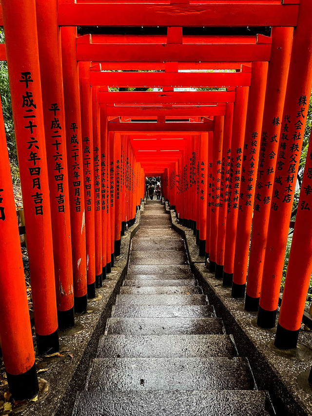 【東京】伏見稲荷⁉︎ 都内でも見れる千本鳥居⛩️