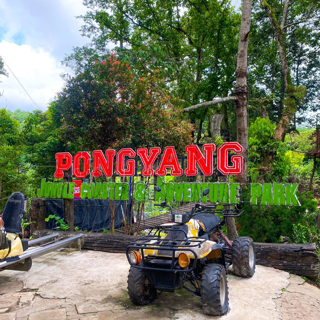กิจกรรมสุดอลังการ เดอะจังเกิ้ล โป่งแยง (The Jungle