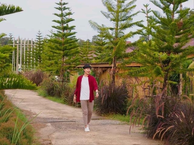 เที่ยวเขาใหญ่แบบฟินๆ มีครบจบ !!