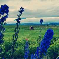 Lake Hill Farm, Hokkaido