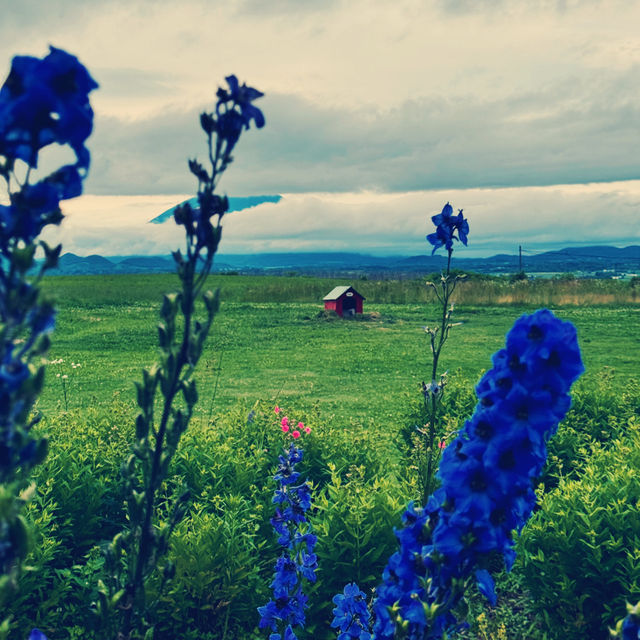 Lake Hill Farm, Hokkaido