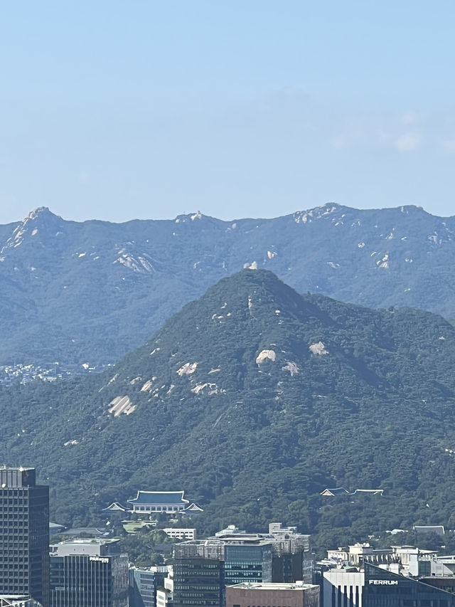 서울의 중심 남산타워에서 보는 뷰🩵