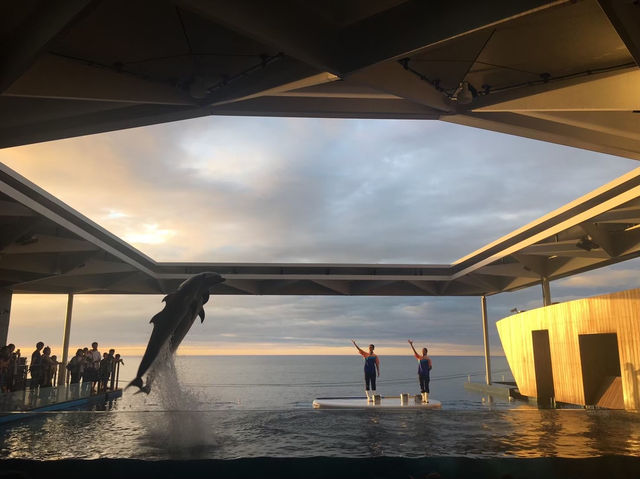 【上越市】絶景オーシャンビューが見れる水族館🐬