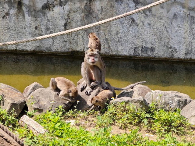 新竹市區型的動物園 從新竹火車站步行可以到