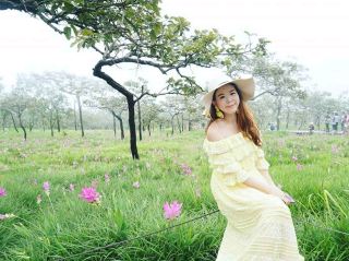 Pa Hin Ngam National Park
The Siam Tulip Field