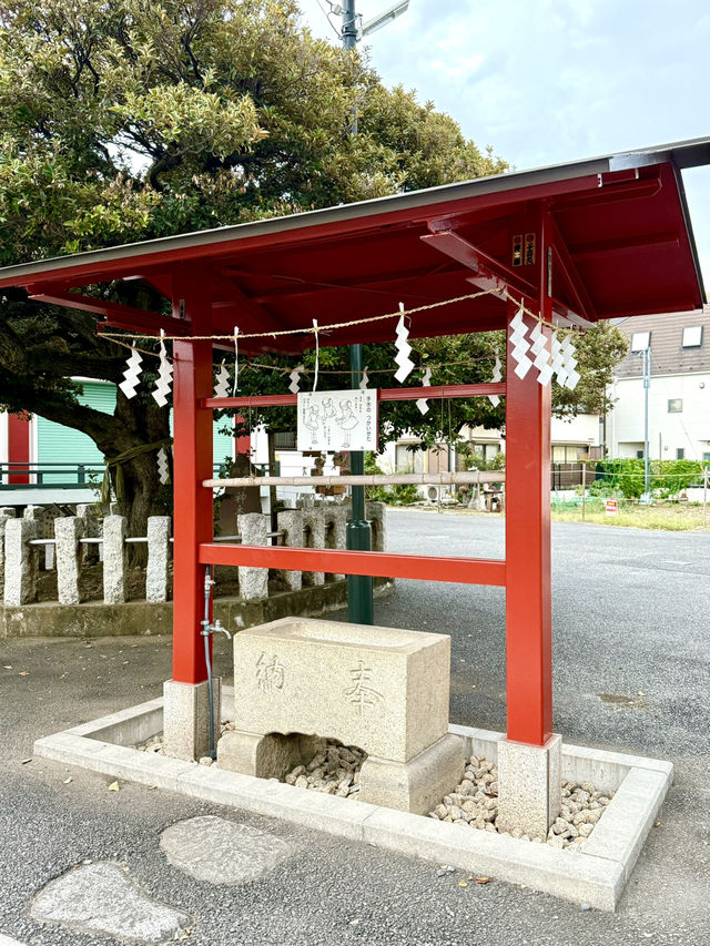 【東京都】赤で統一された境内