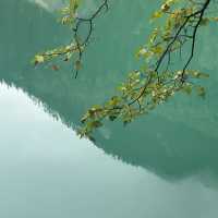 🌿 Exploring Jiuzhaigou: Nature’s Hidden Gem in Sichuan, China! 🌧️  