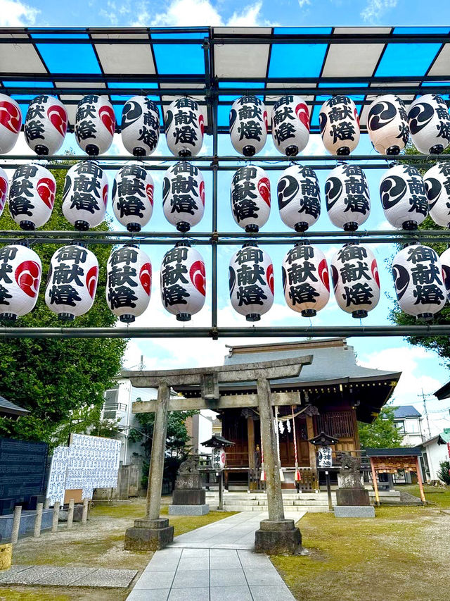 【東京都】存在感ある樹齢900年の欅