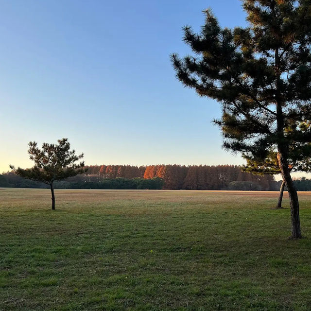 【東京】広大な公園