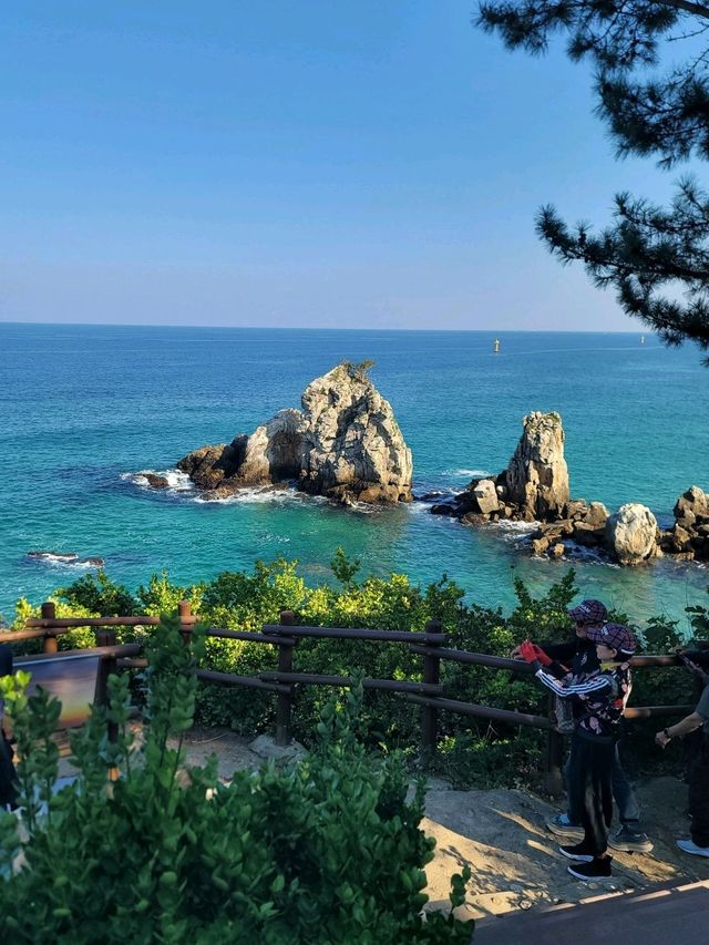동해일출명소로 유명한 추암촛대바위🩵