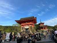 ขอพรวัดวัดคิโยมิซึ วัดดังประจำเมืองเกียวโต