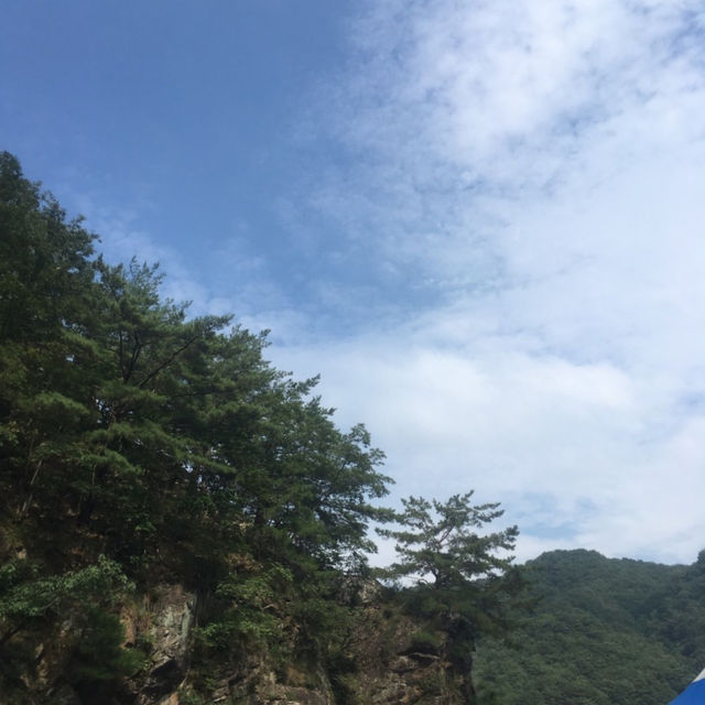 화천 산약초마을🏡