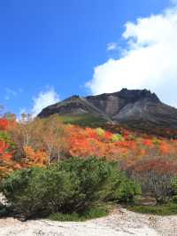 【栃木】死ぬまでにみたい絶景の紅葉