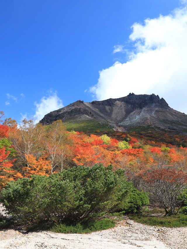【栃木】死ぬまでにみたい絶景の紅葉