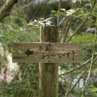 福岡　素晴らしいロケーションで優雅な時間‼️茶房わらび野