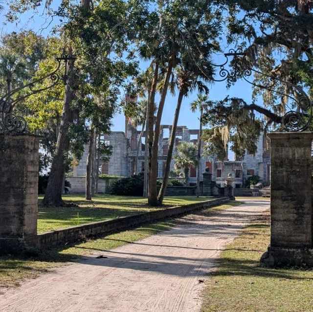 Cumberland Island (Georgia)